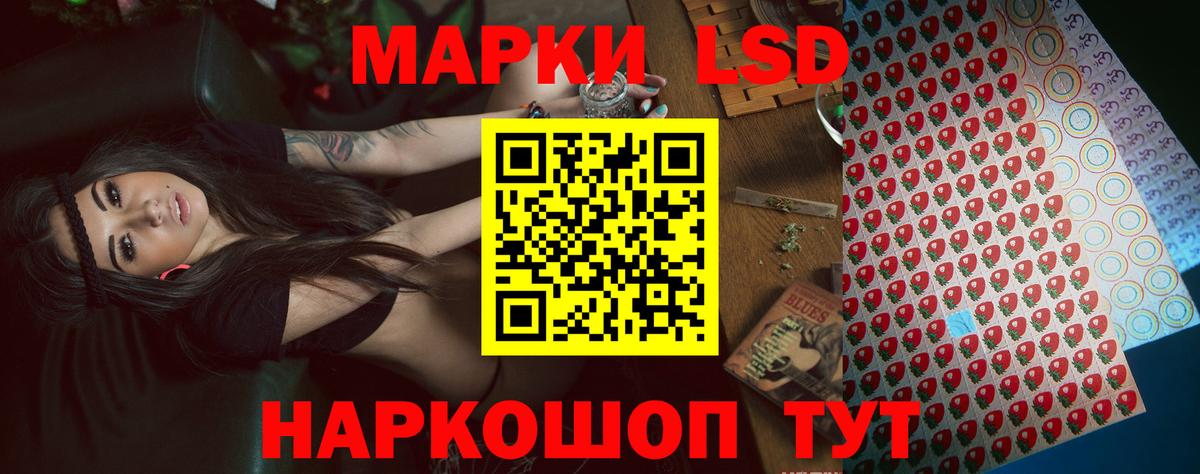 Алейск  Лсд 25 экстази кислота  Лсд 25 экстази кислота  Вход с VPN 