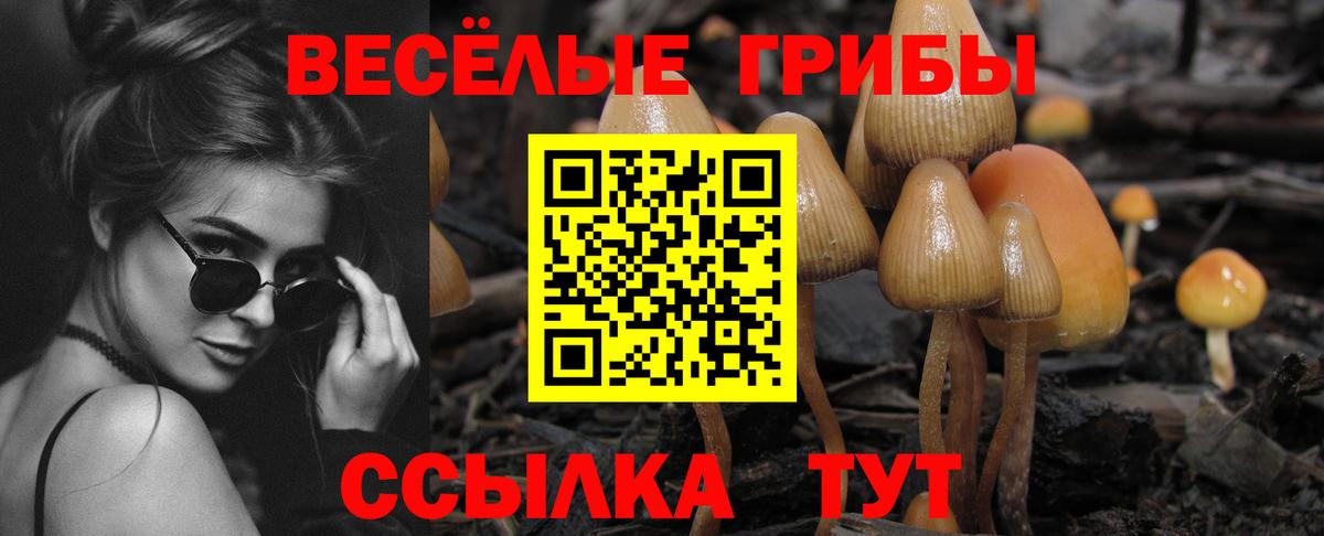 Псилоцибиновые грибы Cubensis  Псилоцибиновые грибы Psilocybe  Вход с VPN  Алейск 